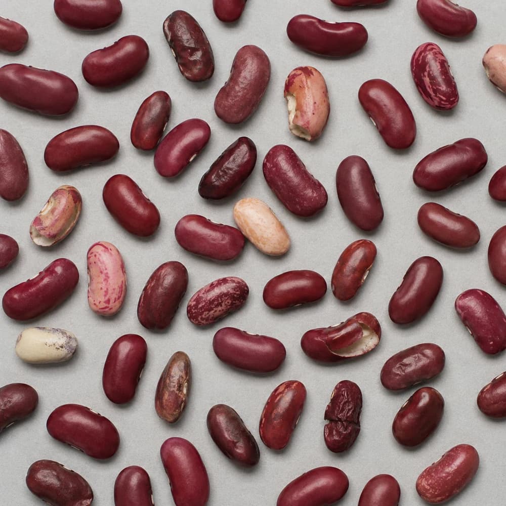 Muestra de frijoles rojos