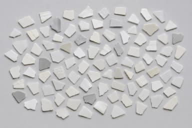 White PP and PE similar rigid flakes.