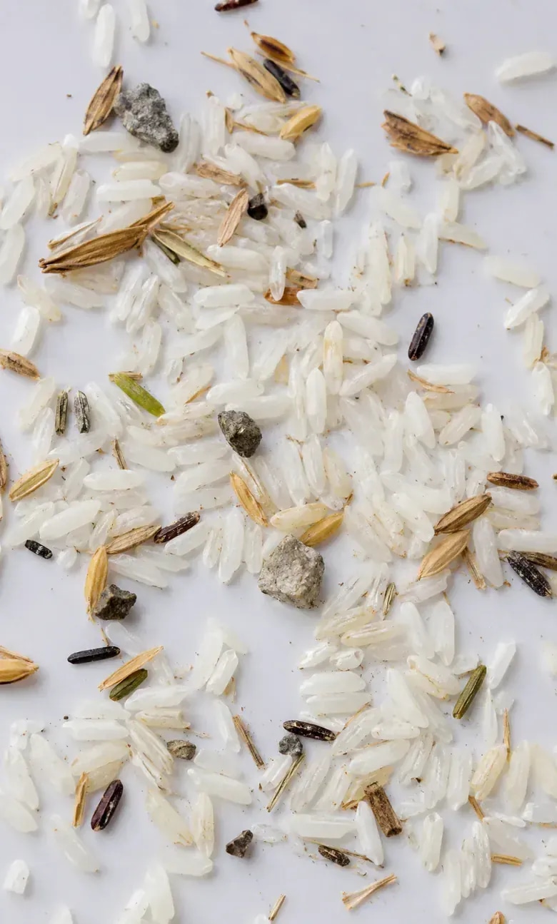 Portrait crop of rice sample mixed with husk, stones, and visible foreign material.