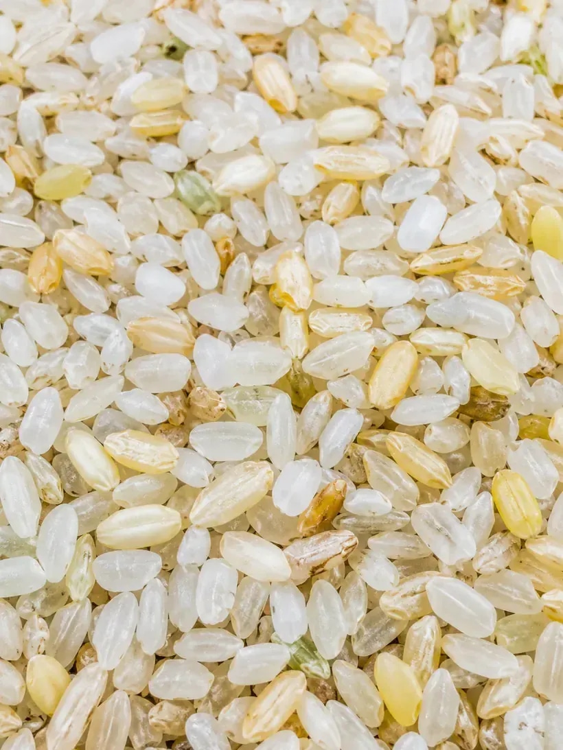 Detailed crop of rice sample containing yellow grains and pale off-color kernels.