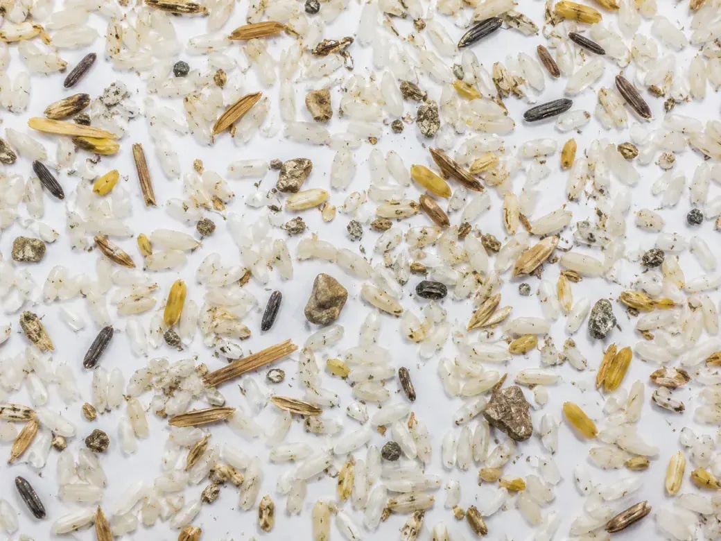 Panel crop of rice sample with visible fragments used as an industrial-contaminant illustration.