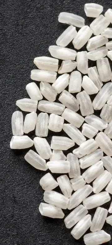 Focused crop of short rice grains used as an off-size rejection reference.