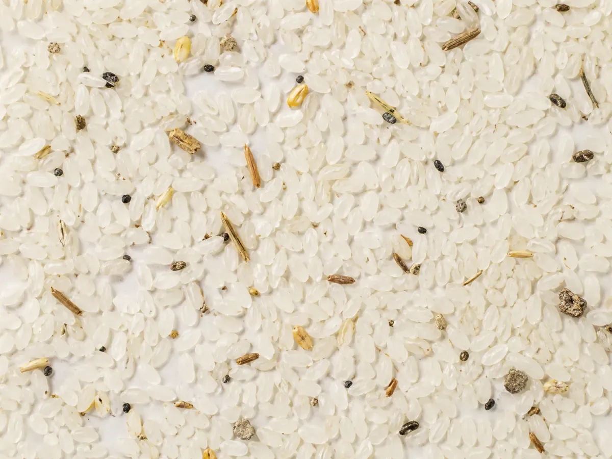 Mixed rice input sample with visible foreign material and grading variation.