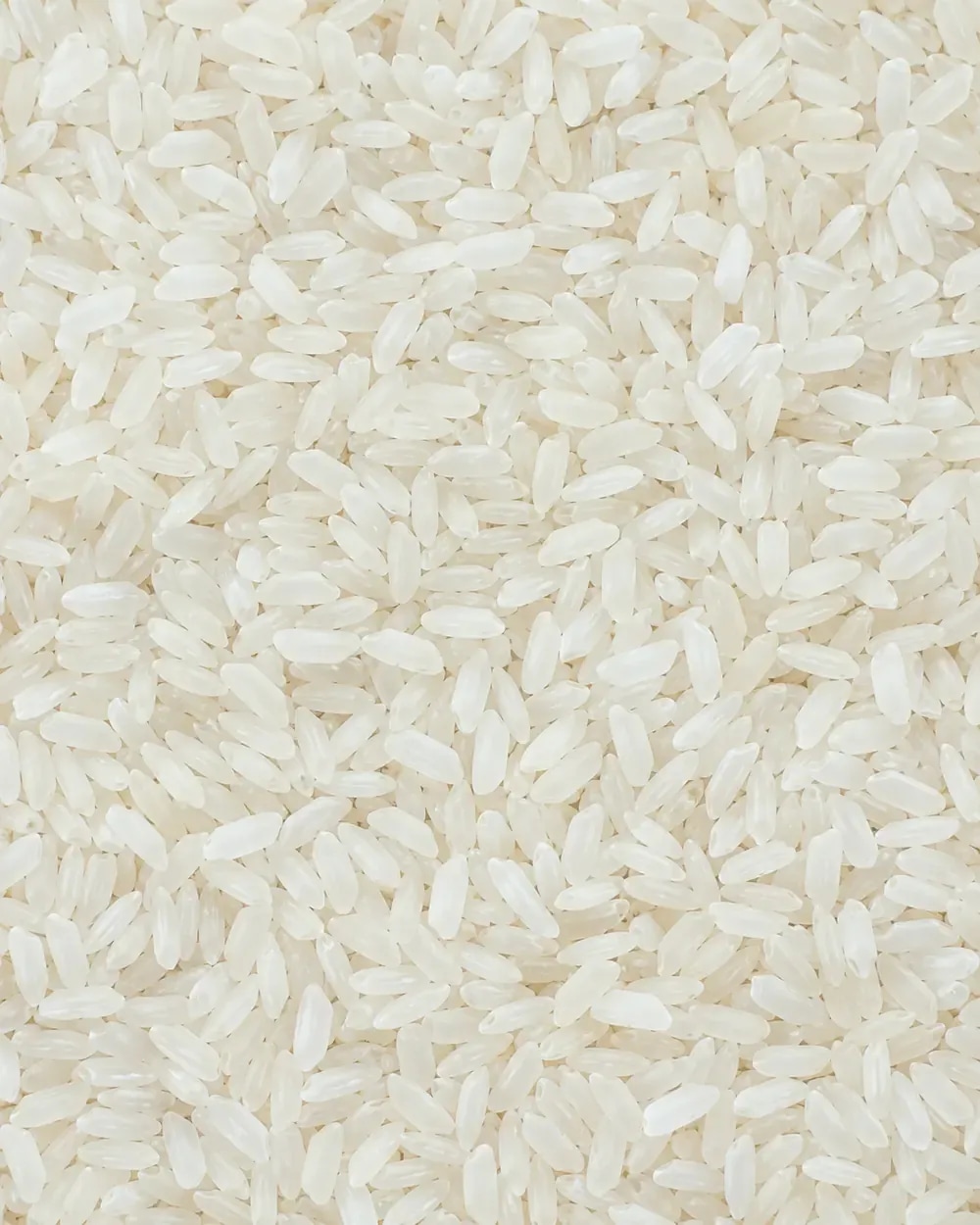 Whole rice kernels used as an integrity acceptance reference.