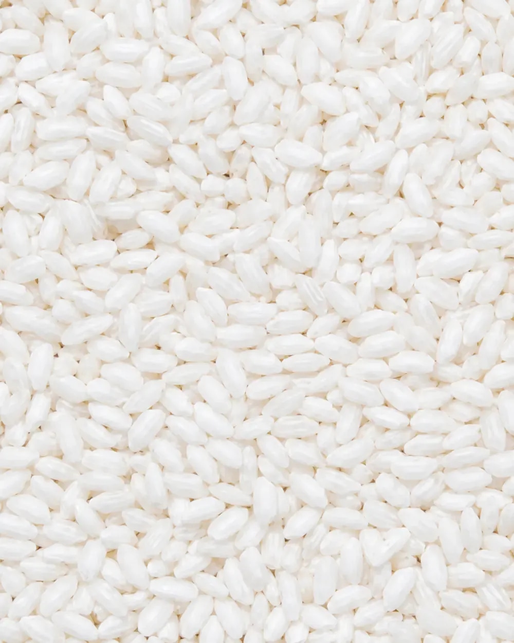 Head-rice sample with full kernels and stable appearance.
