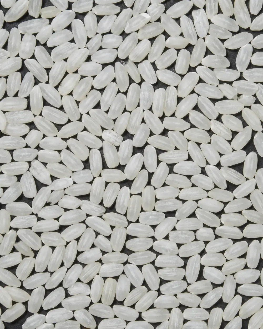 Short to medium rice grains used as an accepted shape reference.