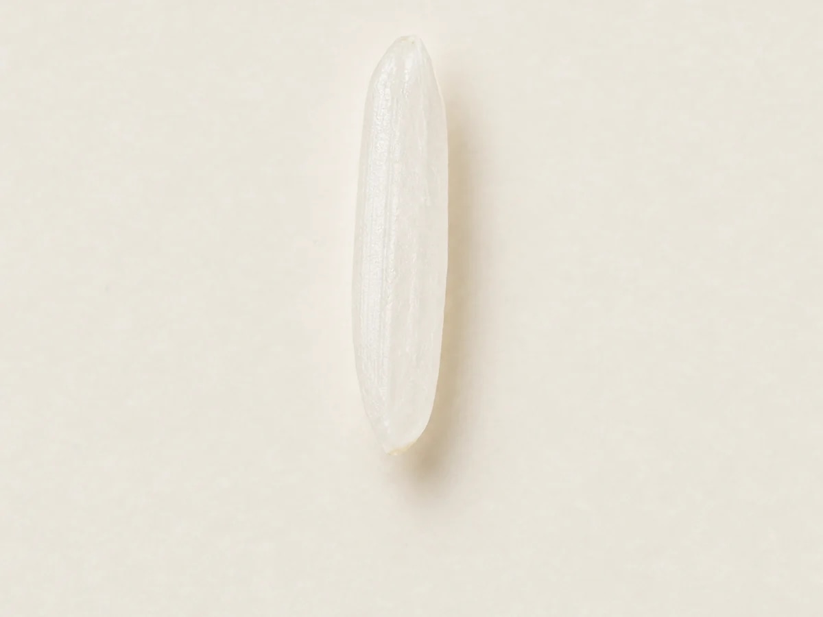 Single rice grain on a light background for shape and size measurement.