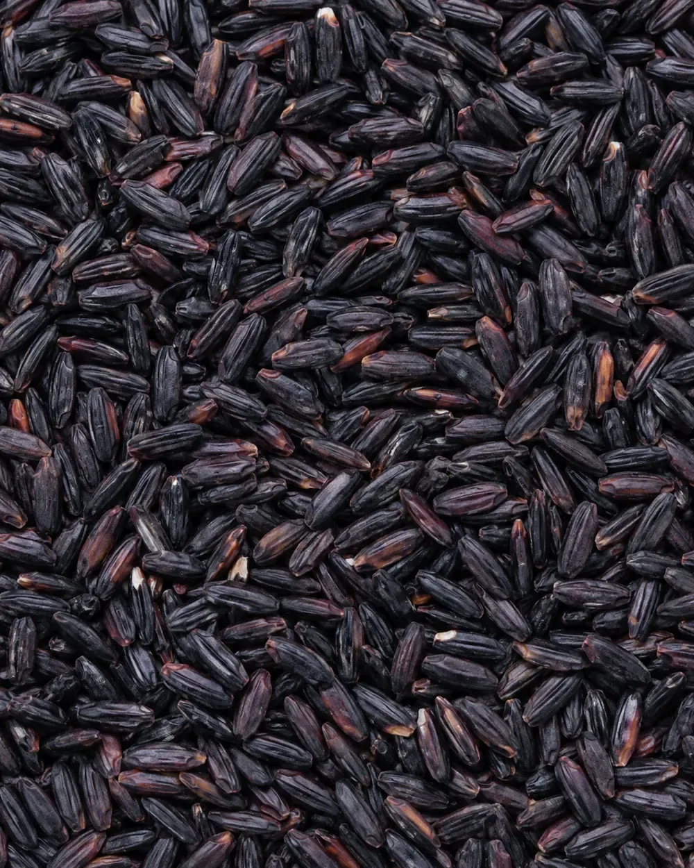Black rice grains with dark purple-black tones.