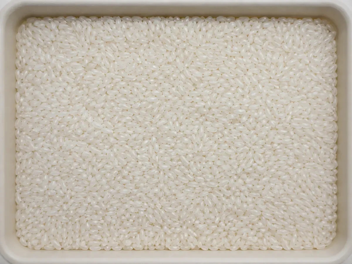 Short opaque glutinous rice grains presented in a tray.