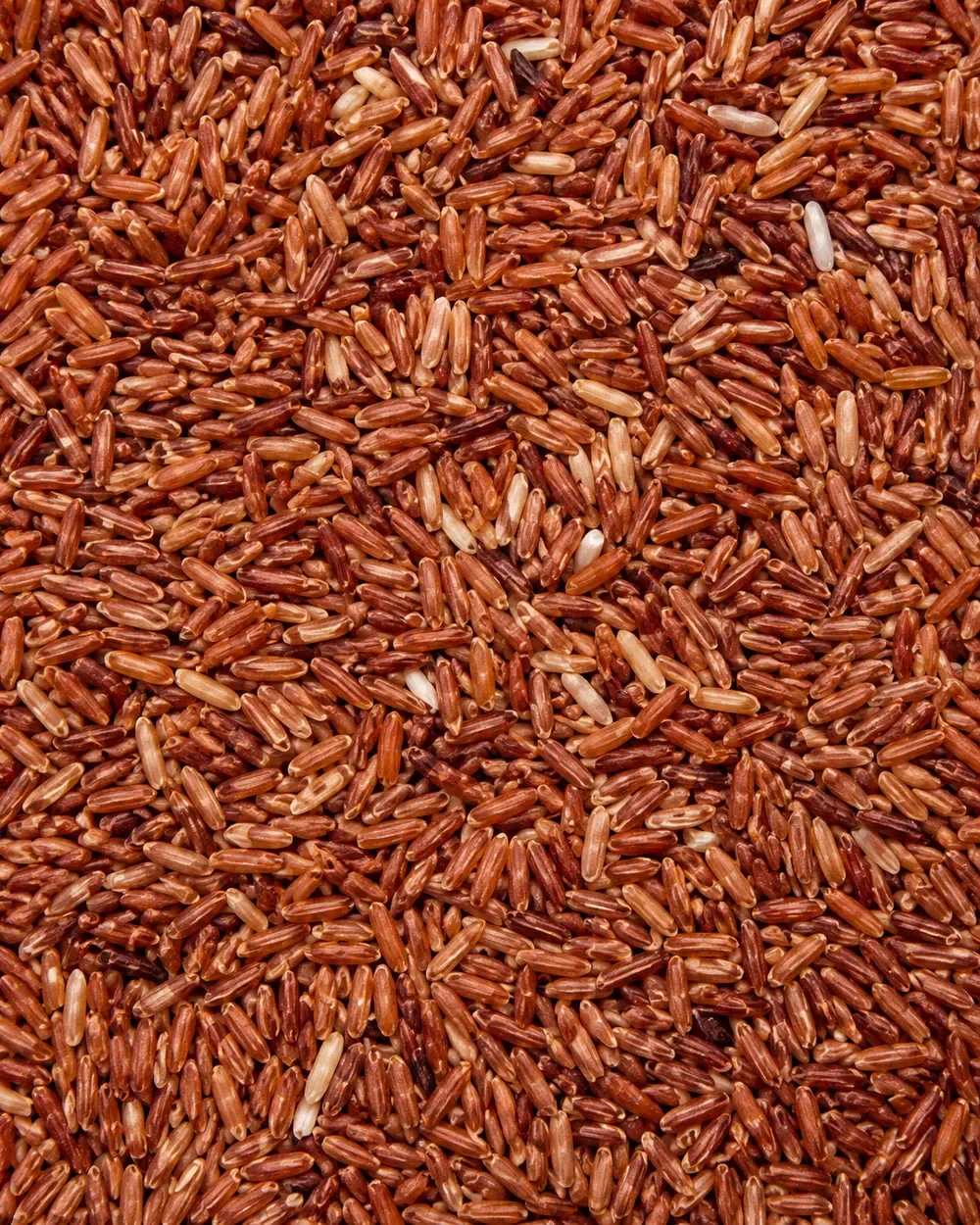 Red rice grains with reddish brown surface tone.