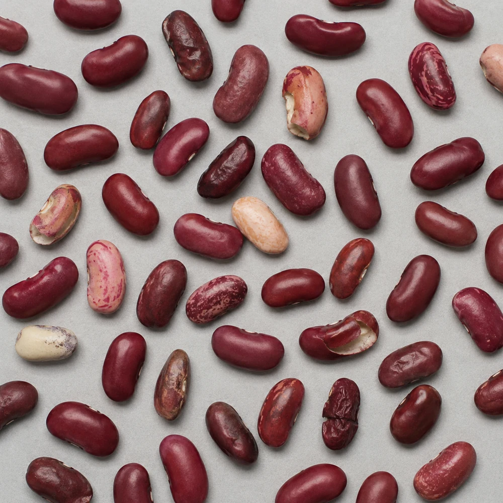 Muestra de frijoles rojos