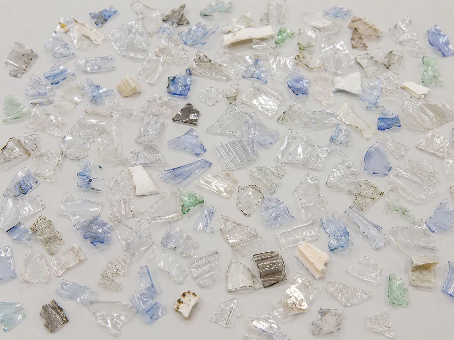 Commercial blue-white PET feed reviewed for look-alike contaminants
