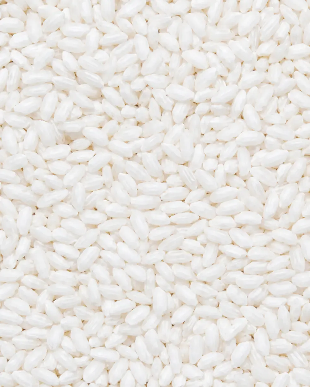 Head-rice sample with full kernels and stable appearance.