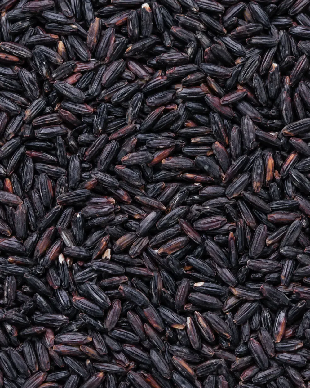 Black rice grains with dark purple-black tones.