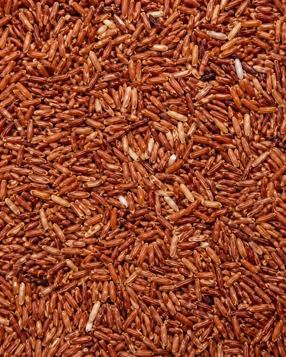 Red rice grains with reddish brown surface tone.